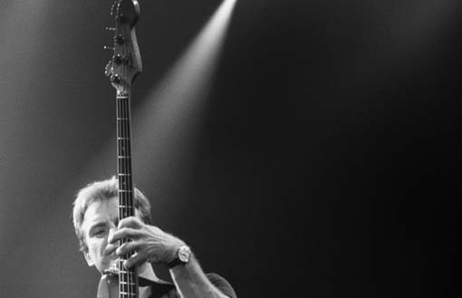 Sting